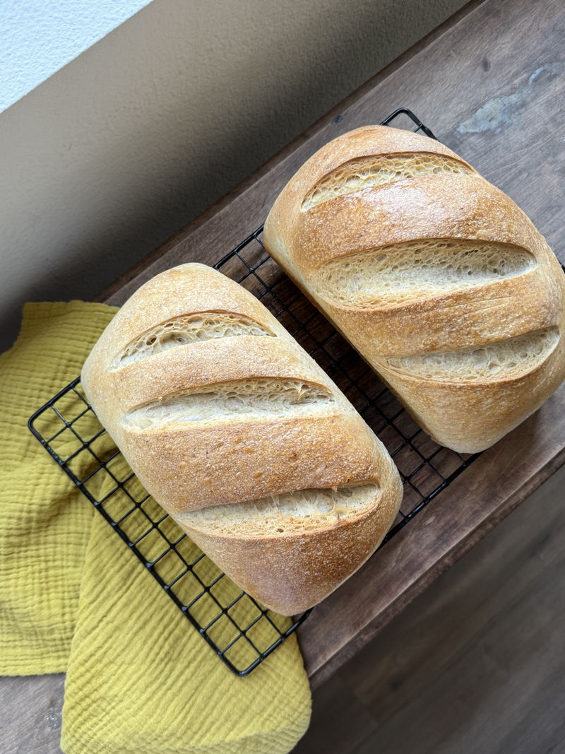 HoneyandFlourco | Salina Kashubin — photo from hotplate.com