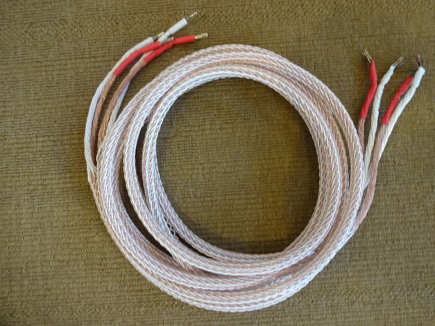 Kimber Kable  12tc spk Cable 10Ft Pair