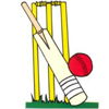 Pett Cricket Club Logo