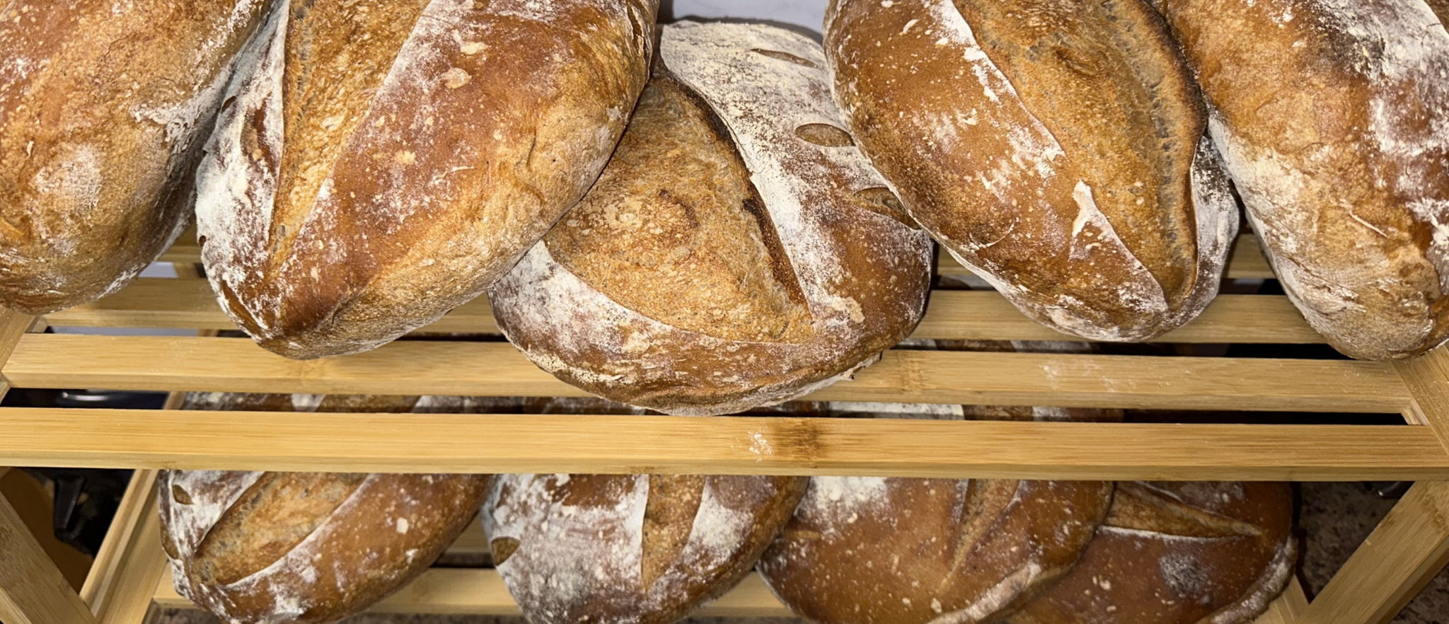 Two Bowls Sourdough • Phx AZ — photo from hotplate.com