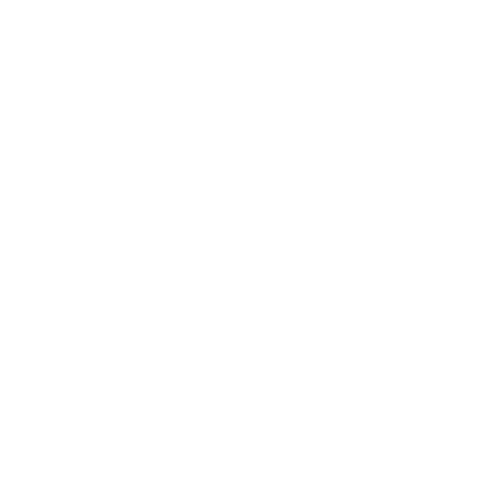 Machine Vision For Logistics_icon