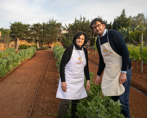Food & Wine Tours Trapani: An experience at the farmers' market with tasting...