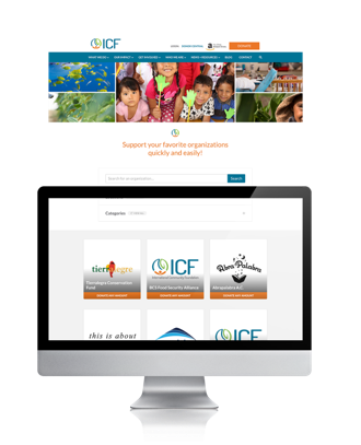 International Community Foundation site