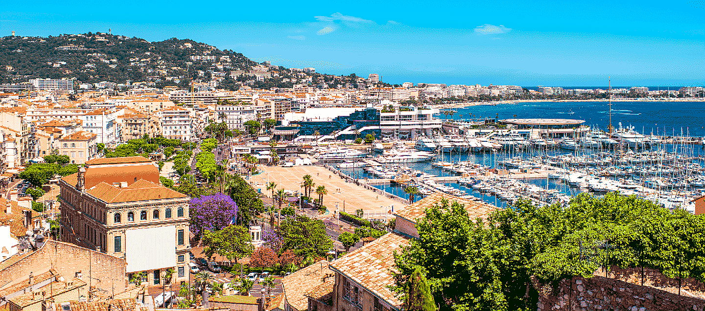 Cannes
- Immobilier cannes alpes maritimes - provence cote azur - engel volkers