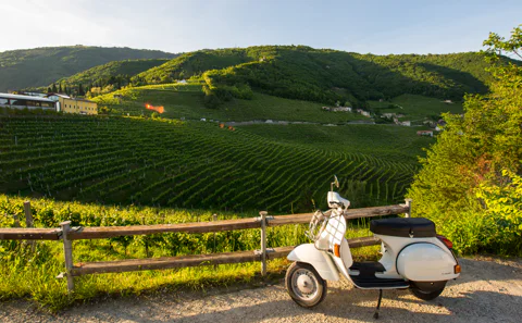 Tuscany by Vespa Full-Day Tour to Chianti Wine Region   