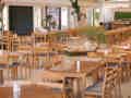 Ein geräumiger Restaurantbereich mit Holztischen, Pflanzen und einem Buffet unter natürlichem Tageslicht.