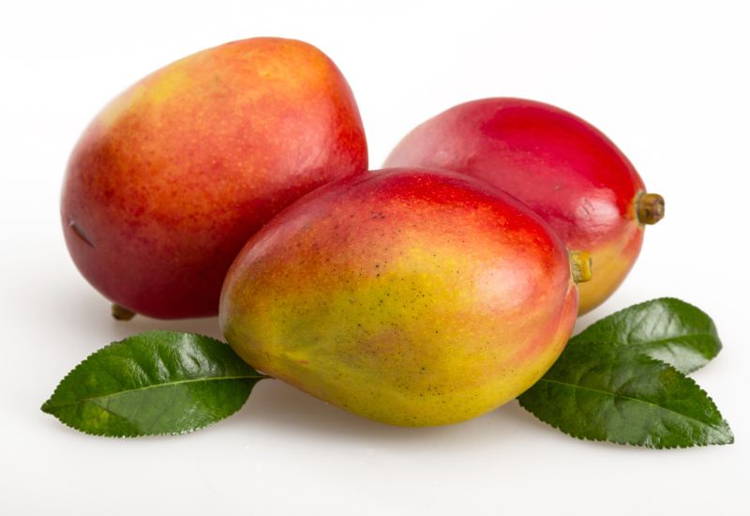 マンゴー切り方