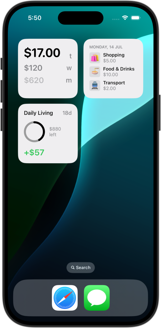 Screenshot of CashJot widgets in iPhone home screen