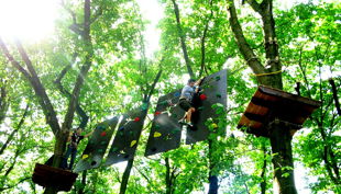 treetree kinder parcour