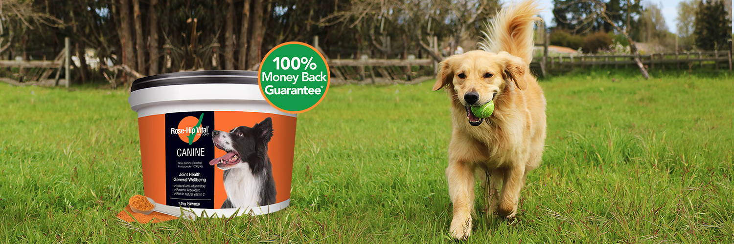 Rose-Hip Canine 1.5kg | Introductory Offer
