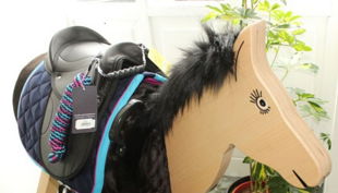 ponyhof sonnenschein sattel