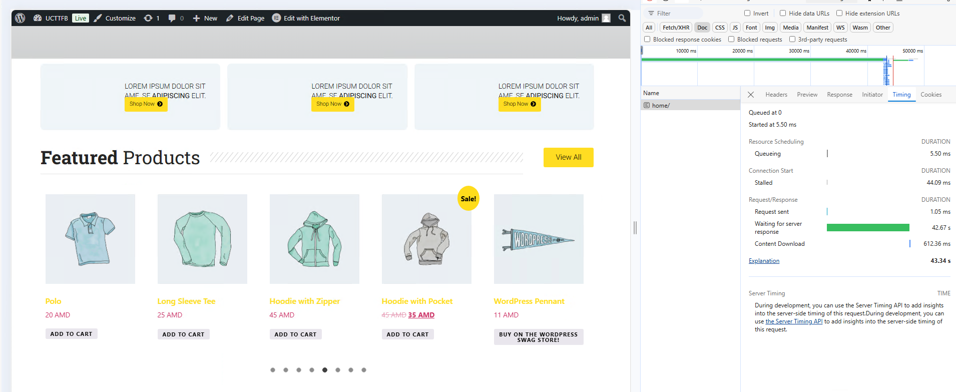 WordPress + WooCommerce website with poor TTFB