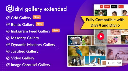 Divi Gallery Extended