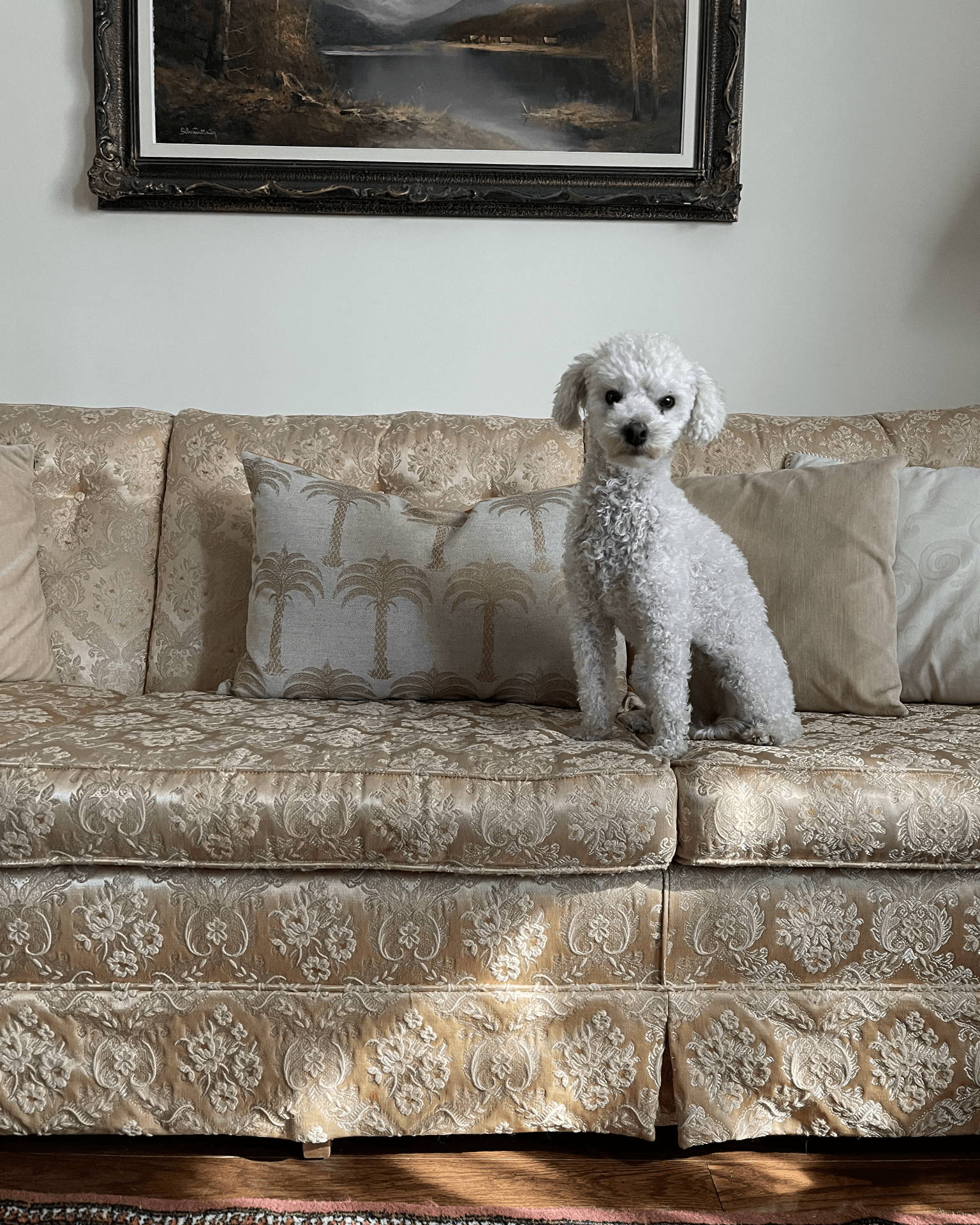 Marrakech Gold Cushion | Living Room Decorative Cushions