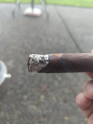 Cigar Session Photo