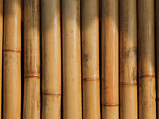  Santiago
- Bambú en lugar de acero y hormigón. Descubra las posibilidades sin explotar del bambú en la construcción de casas y en la vida sostenible.