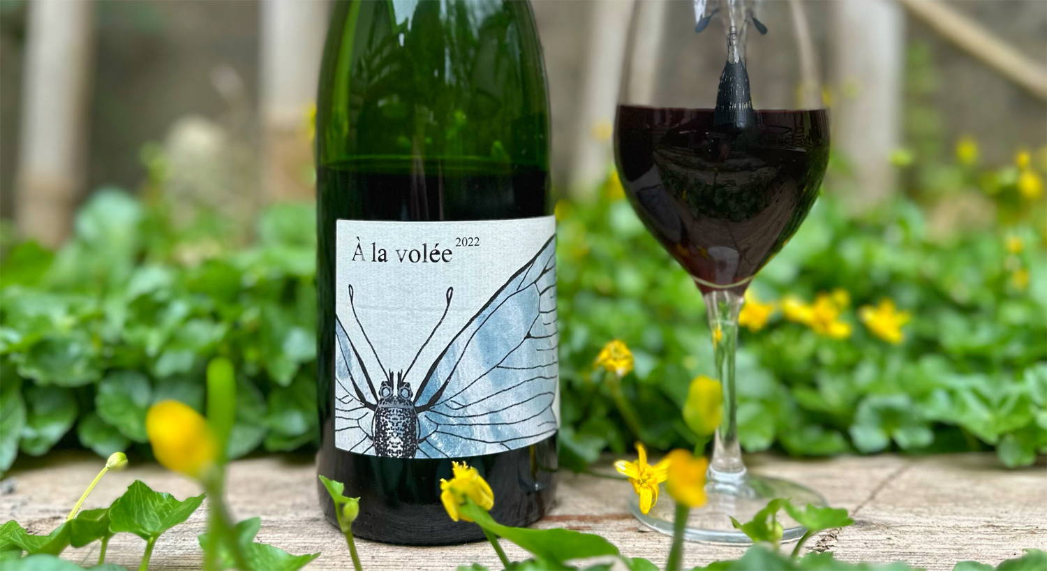 France, vin nature, rawwine, organic wine, vin bio, vin sans intrants, vin sans souffre, vin sans sulfites ajoutés, vin rouge, vin blanc, rouge, blanc, vin propre, vigneron, domaine bio, biodynamie, vigneron nature, vin biodynamique, raizin brut, Quimper, Finistère, Morbihan 