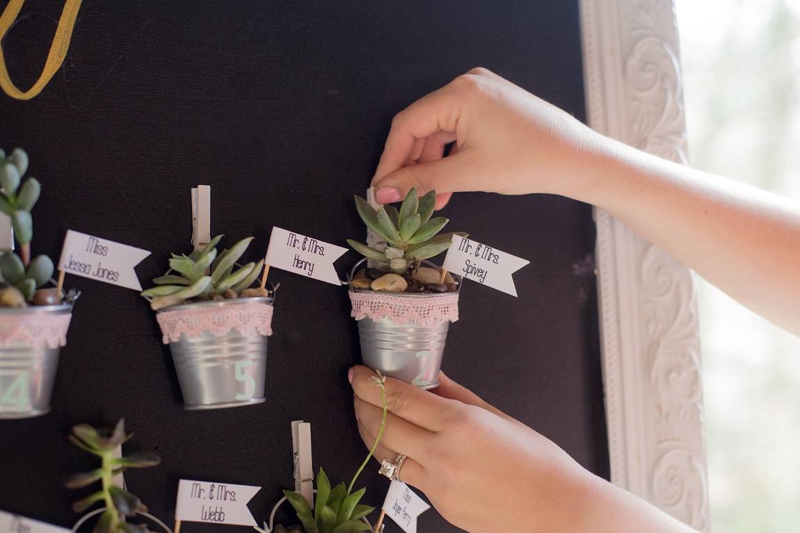 succulent favors