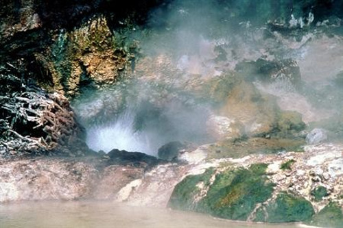 2. Экскурсия в геотермальный парк Ваймангу. Роторуа.