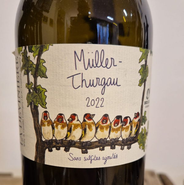 muller-thurgau-domaine-de-la-deviniere-vin-nature