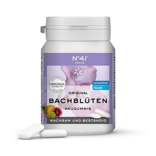 Original Bachblüten Kaugummi Nr. 41 Konzentration