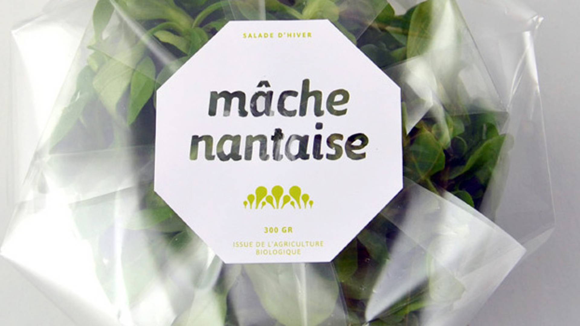 Featured image for Concept: La Mâche Nantaise