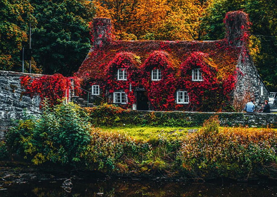  Belgium
- Voici de bons conseils pour préparer votre maison pour l'automne. Ne laissez aucune chance à l'humidité et à l'obscurité ! En savoir plus dans le blog.