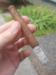 Nice Ash