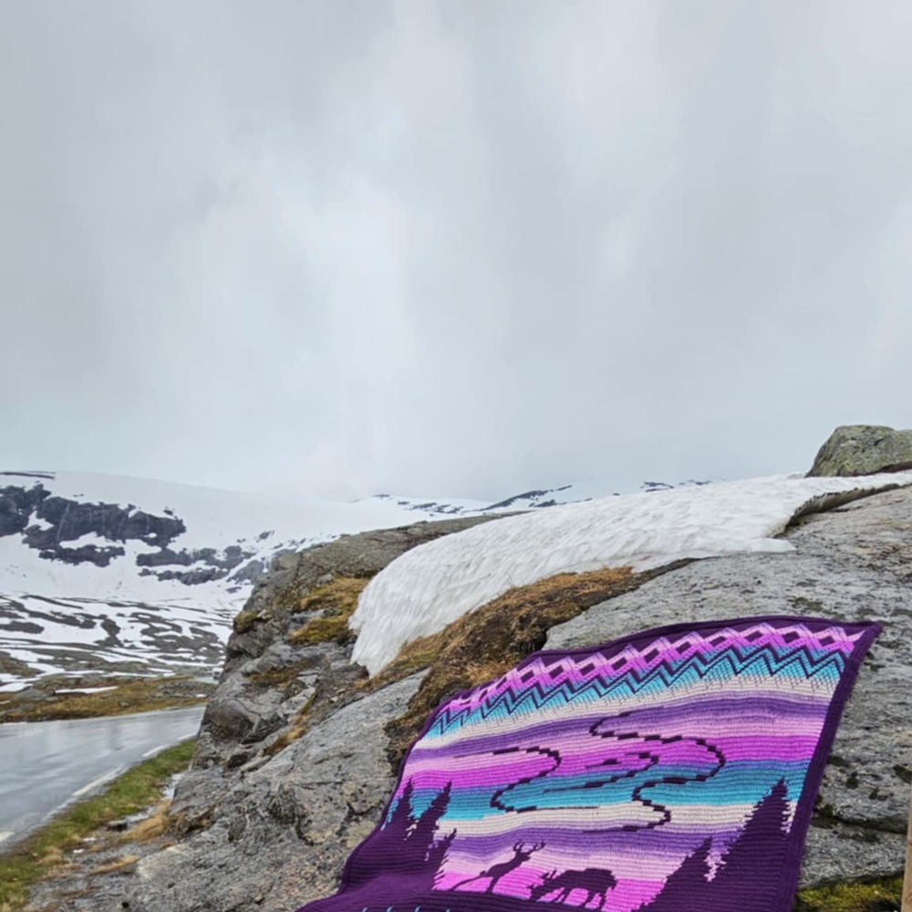 Winter Blanket