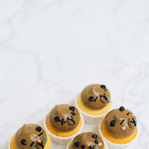Capybara Minis (12pcs)