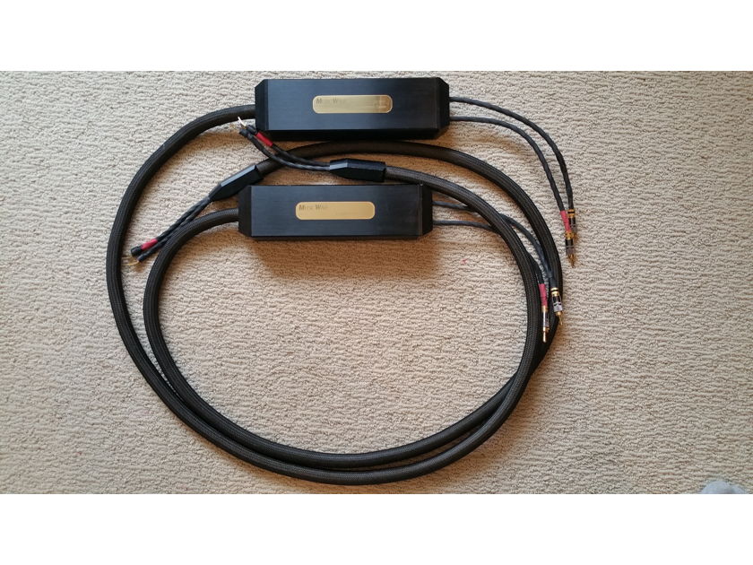 Transparent Audio Musicwave Ultra Speaker Cables (x2)