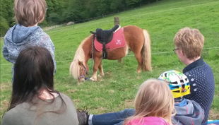 ponyhof sonnenschein picknick mit pony
