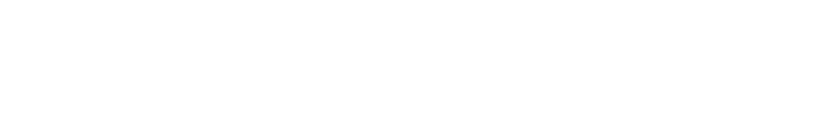Irina Mironova Logo