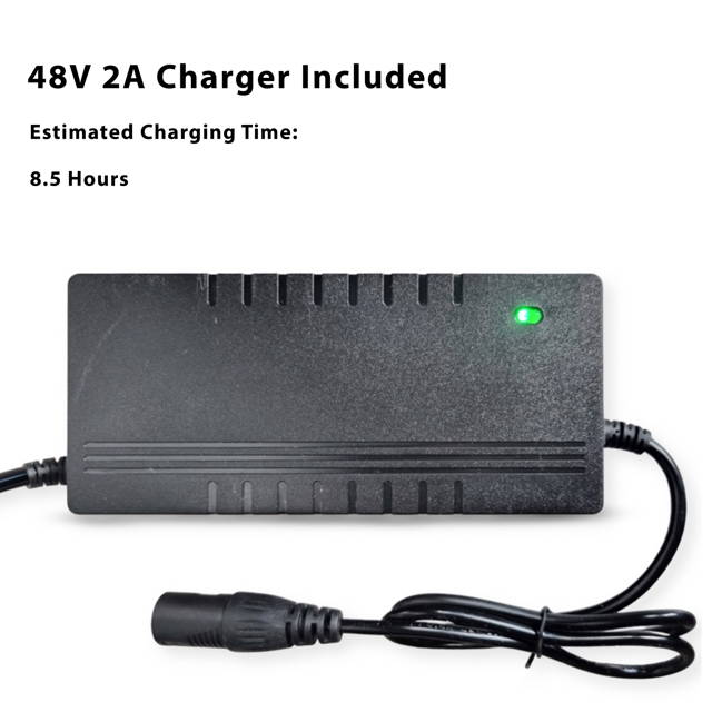 E-Bike battery charger for electric bike battery Fast Charge