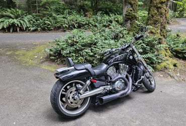 2010 HARLEY-DAVIDSON VRSCFA V-ROD MUSCLE ABS (BLACK) motorcycle for rent near Tacoma, WA