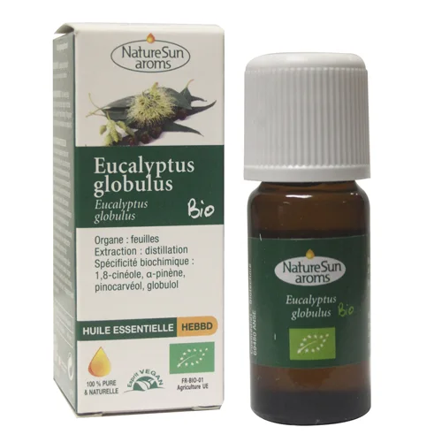 Ätherisches Bio Öl Aus Eukalyptus Globulus