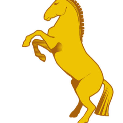 Holmesdale Cricket Club Logo