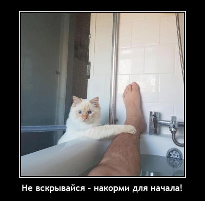 Не вскрывайся – накорми для начала!