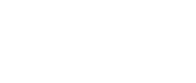 Tamara Dempsey Logo