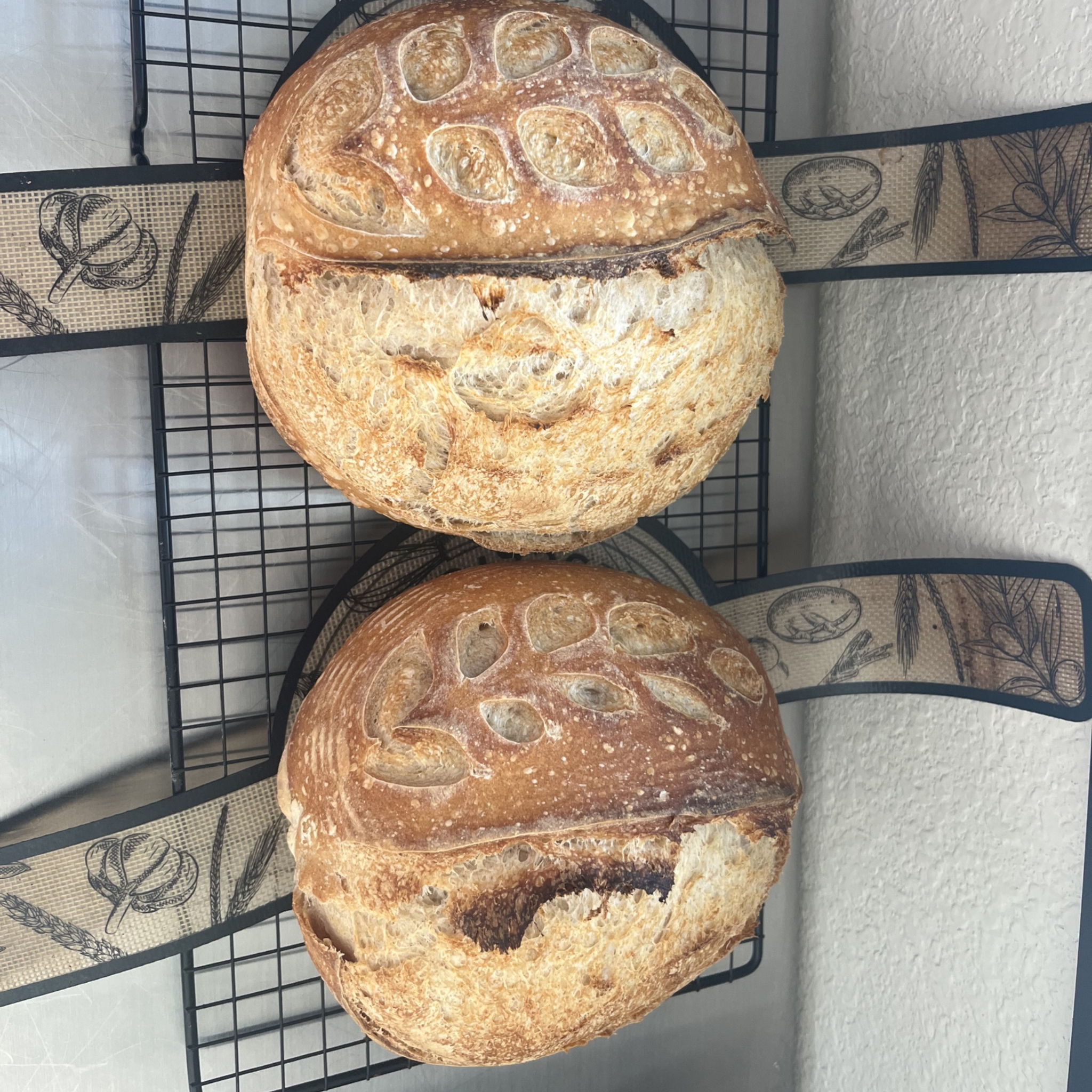 Loaves on Linvale — photo from hotplate.com