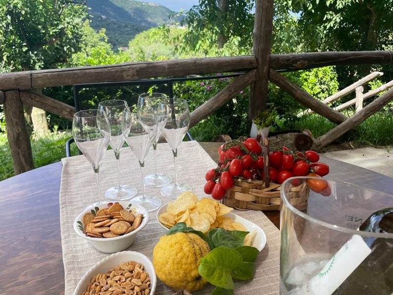 Cooking classes Piano di Sorrento: Traditional cooking class in the Sorrento hills