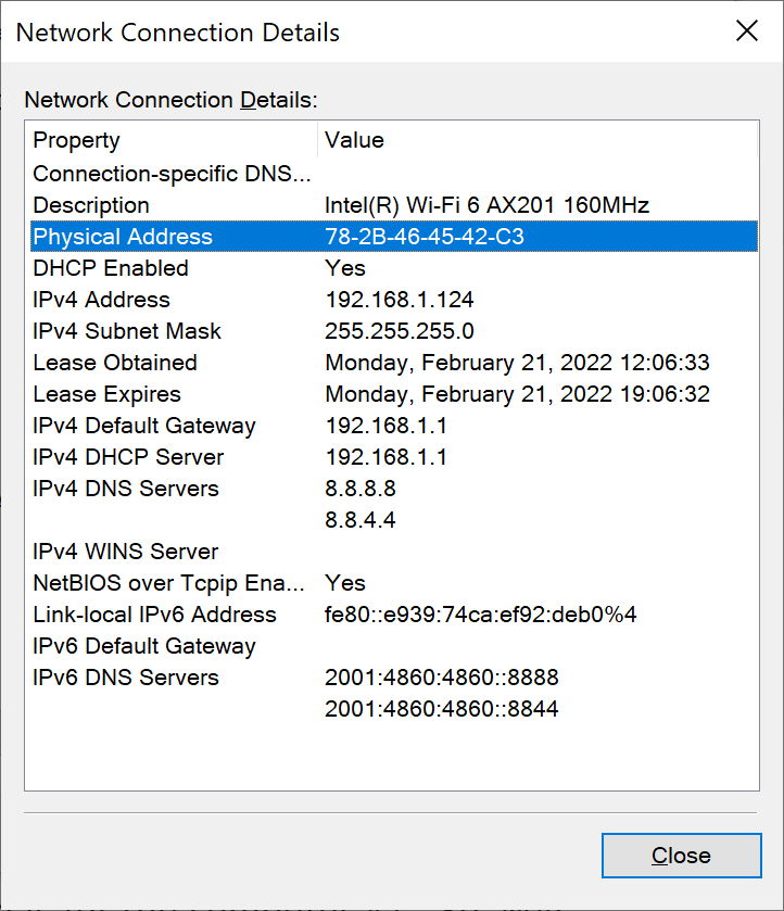 Network Connection Details window with a highlighted physical device address