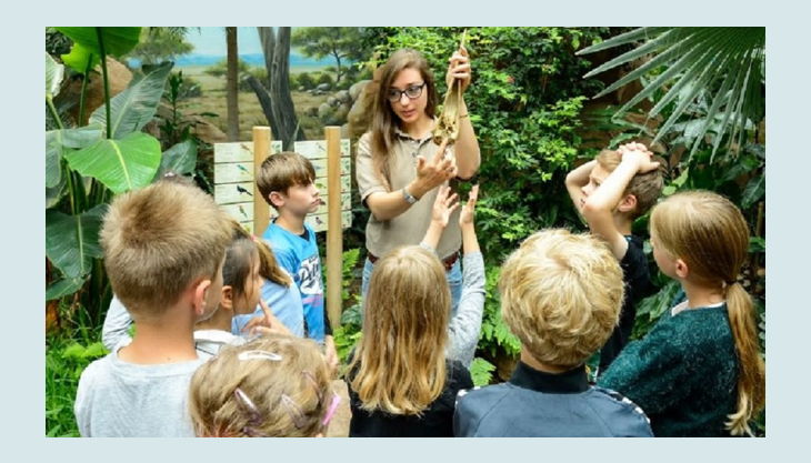 Abenteuer zum Geburtstag im Zoo Berlin erleben