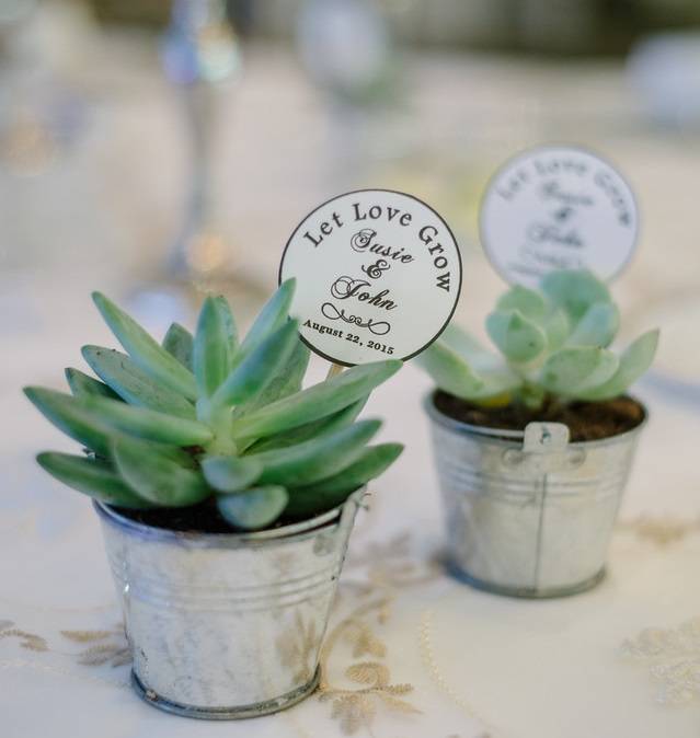 succulent wedding favors