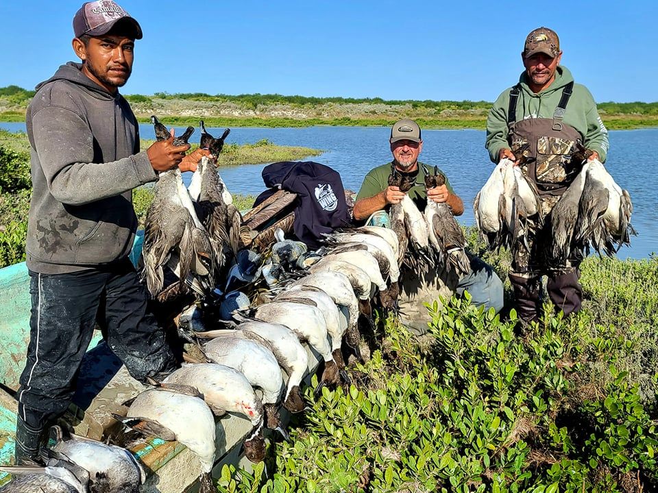 Mexico Wing Shooting FirstClass Mexico Dove Hunting in Brownsville