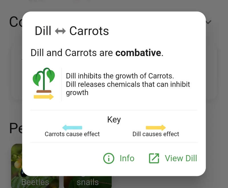 Screenshot of the carrot and dill combative relationship card