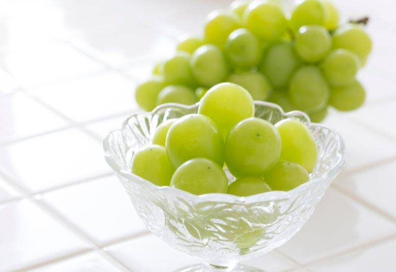 シャインマスカットの保存方法