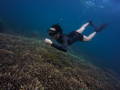 itinerary karimun jawa