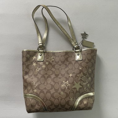 Coach star bag