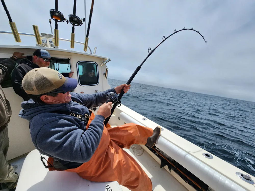 Private Bodega Bay Fishing Charter image